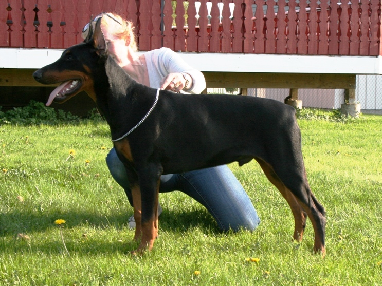 image002