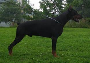 MO2