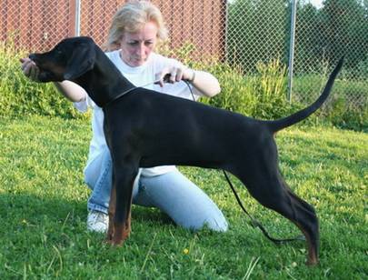 Faranka 4 mndr