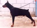 Hertog Alpha v Le Dobry1