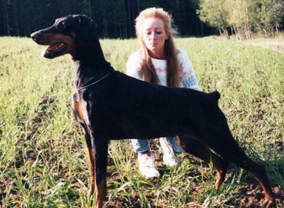 1993