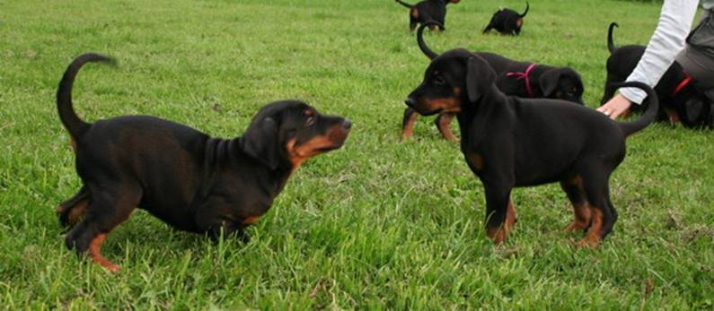 Playtime